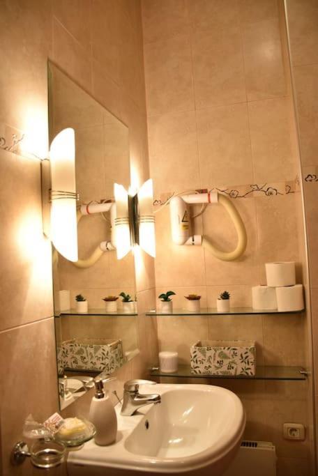 Apartment In Belgrade With Small Parking Space エクステリア 写真
